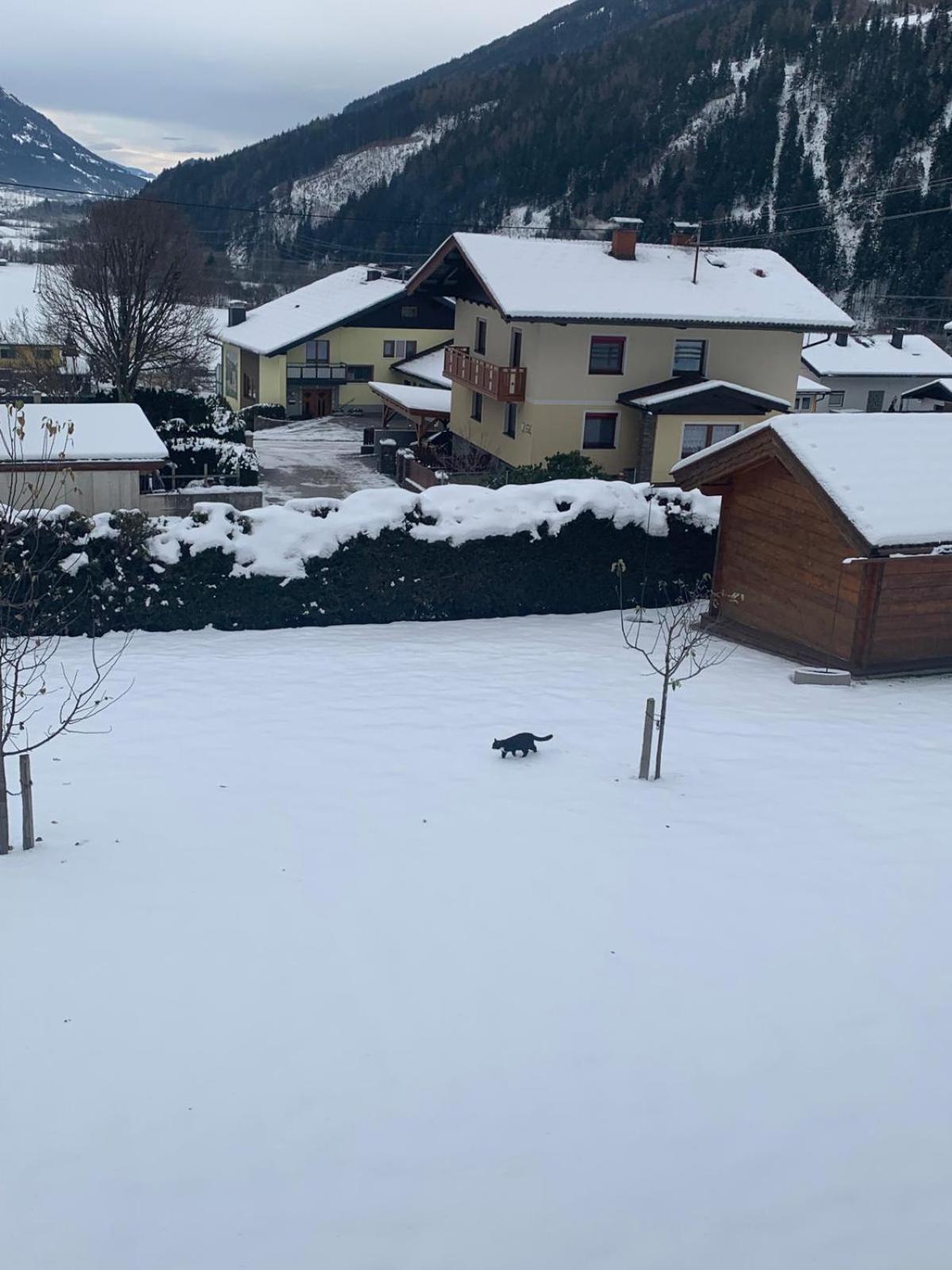 Panorama Apartments Semslach Obervellach Exterior foto